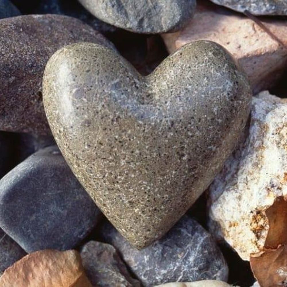 Meet your Posher, Terri